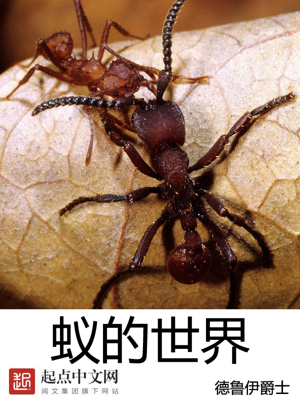 蚁的组词两个字